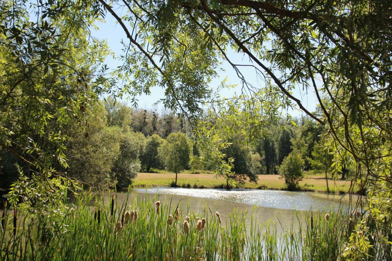 La Bergerie Du Domaine Des Buissonnets Villa Ecardenville-sur-Eure Bagian luar foto